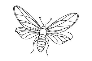 Иллюстрация к книге — Принцесса и Светлячок [book-illustration-1.webp]