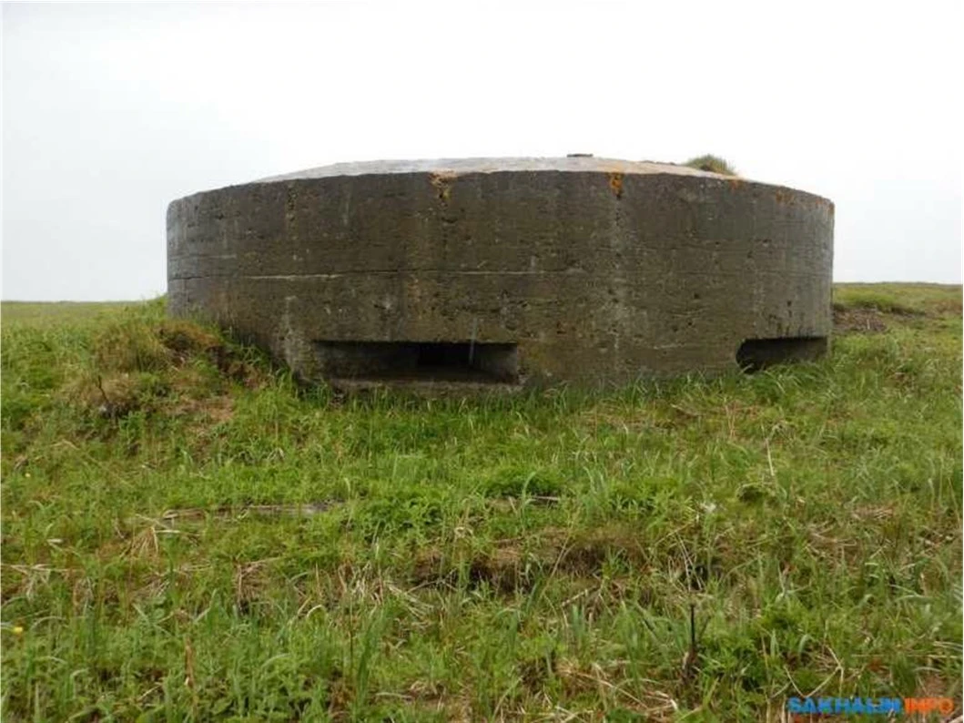 Иллюстрация к книге — Живые! Помните погибших моряков! Книга 1 [book-illustration-53.webp]