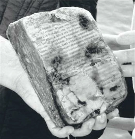 Иллюстрация к книге — Живые! Помните погибших моряков! Книга 2 [book-illustration-19.webp]