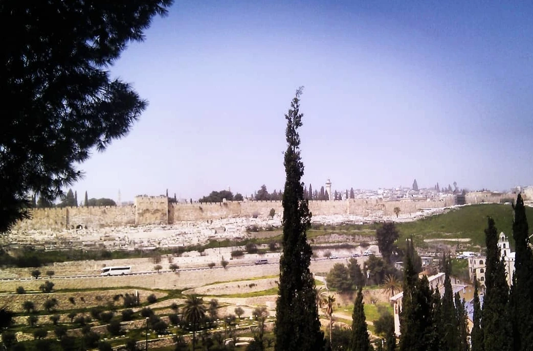 Иллюстрация к книге — Человеки [book-illustration-1.webp]