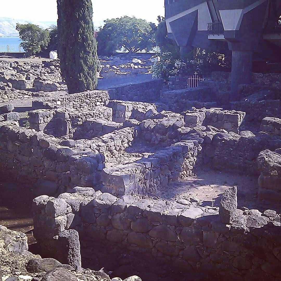 Иллюстрация к книге — Человеки [book-illustration-12.webp]