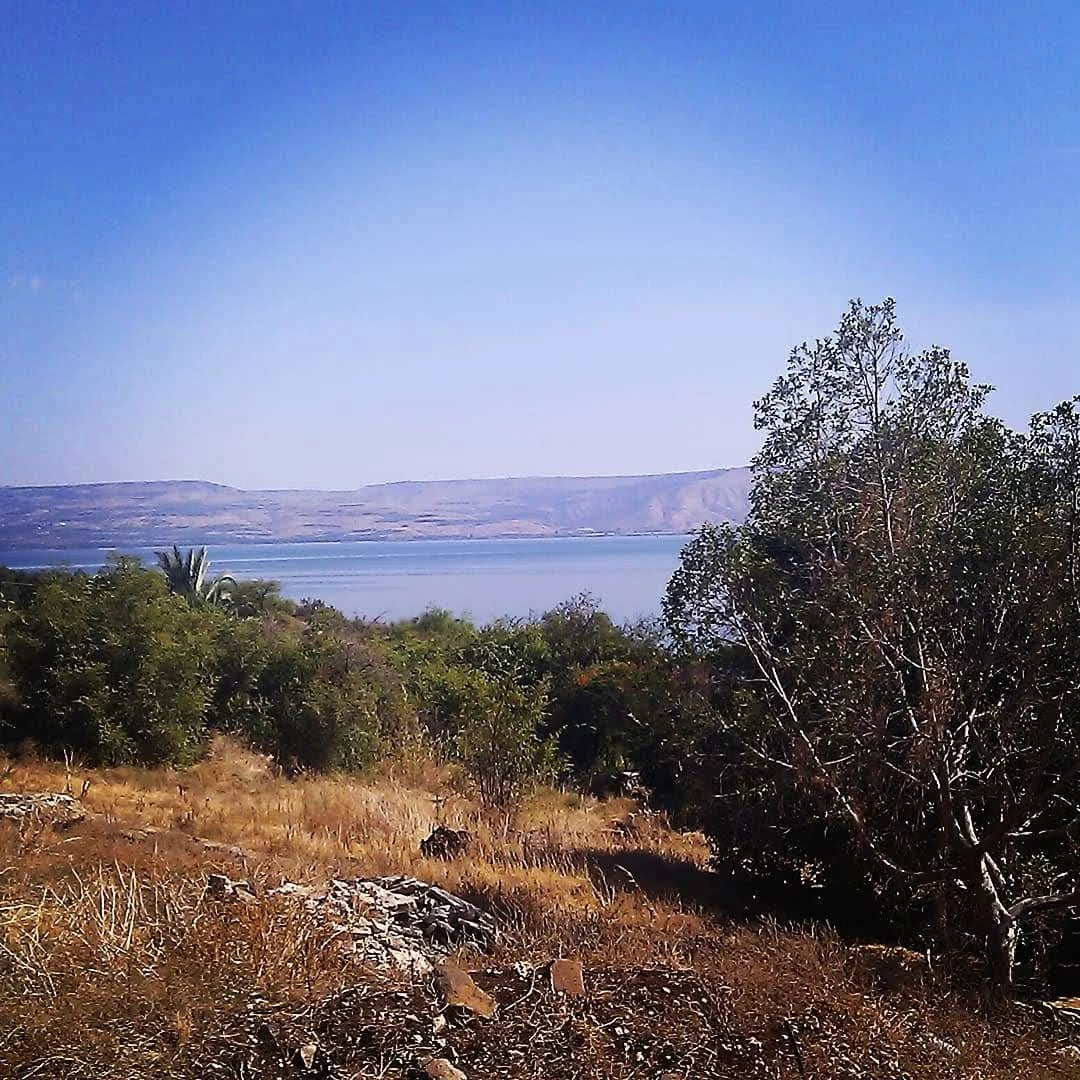 Иллюстрация к книге — Человеки [book-illustration-2.webp]