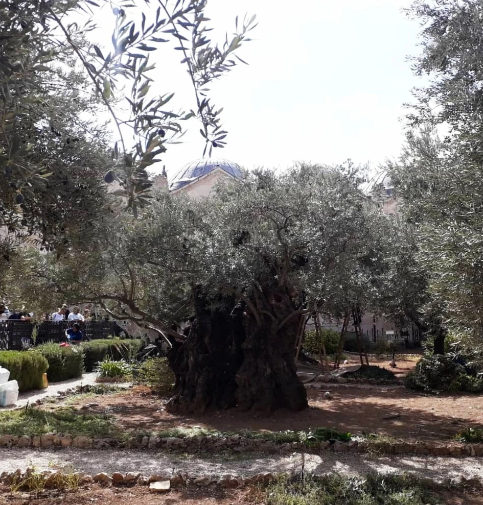 Иллюстрация к книге — Человеки [book-illustration-34.webp]