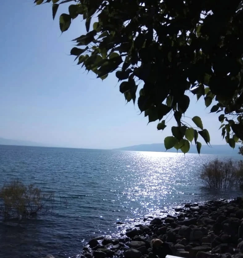 Иллюстрация к книге — Человеки [book-illustration-36.webp]