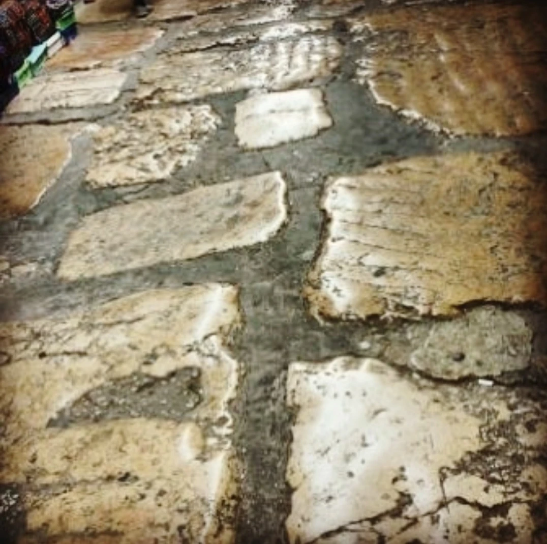 Иллюстрация к книге — Человеки [book-illustration-5.webp]