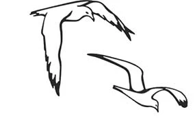 Иллюстрация к книге — В сумерках моря [book-illustration-15.webp]