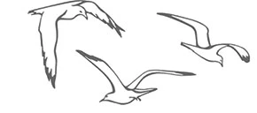 Иллюстрация к книге — В сумерках моря [book-illustration-7.webp]