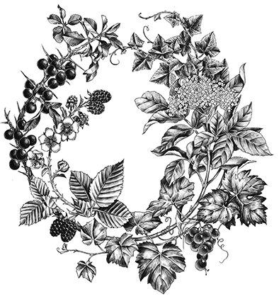 Иллюстрация к книге — Корона рогатого короля [book-illustration-11.webp]