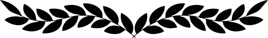 Иллюстрация к книге — Шелковый хаос [book-illustration-36.webp]