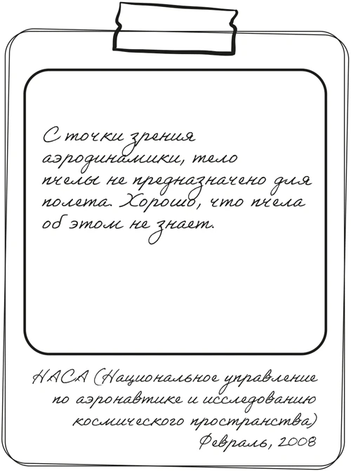 Иллюстрация к книге — Там, где мы настоящие [book-illustration-11.webp]