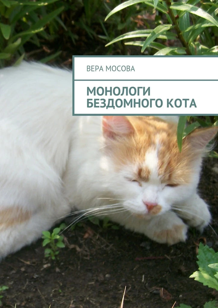 Книга Монологи бездомного кота