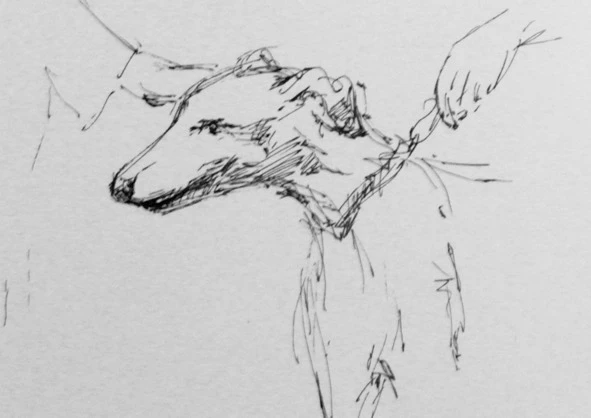 Иллюстрация к книге — Монологи бездомного кота [book-illustration-12.webp]