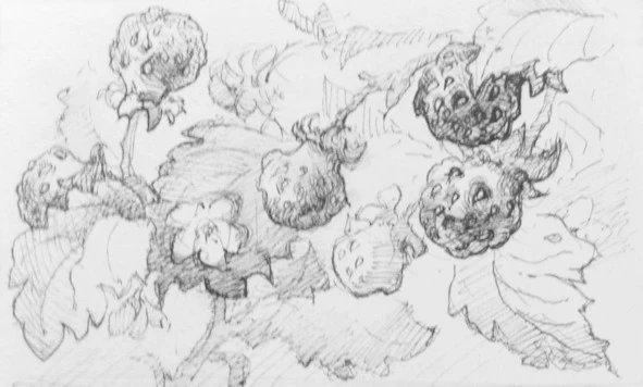 Иллюстрация к книге — Монологи бездомного кота [book-illustration-4.webp]