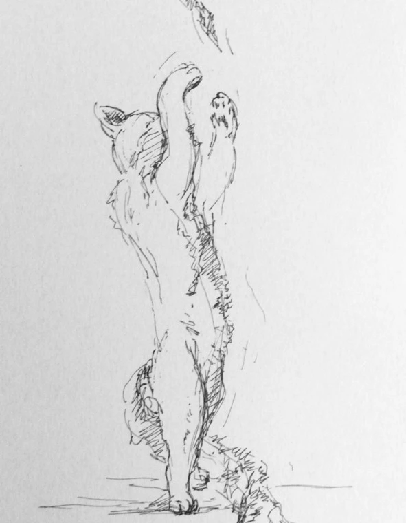 Иллюстрация к книге — Монологи бездомного кота [book-illustration-6.webp]