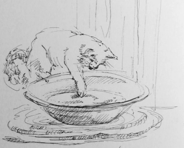 Иллюстрация к книге — Монологи бездомного кота [book-illustration-9.webp]