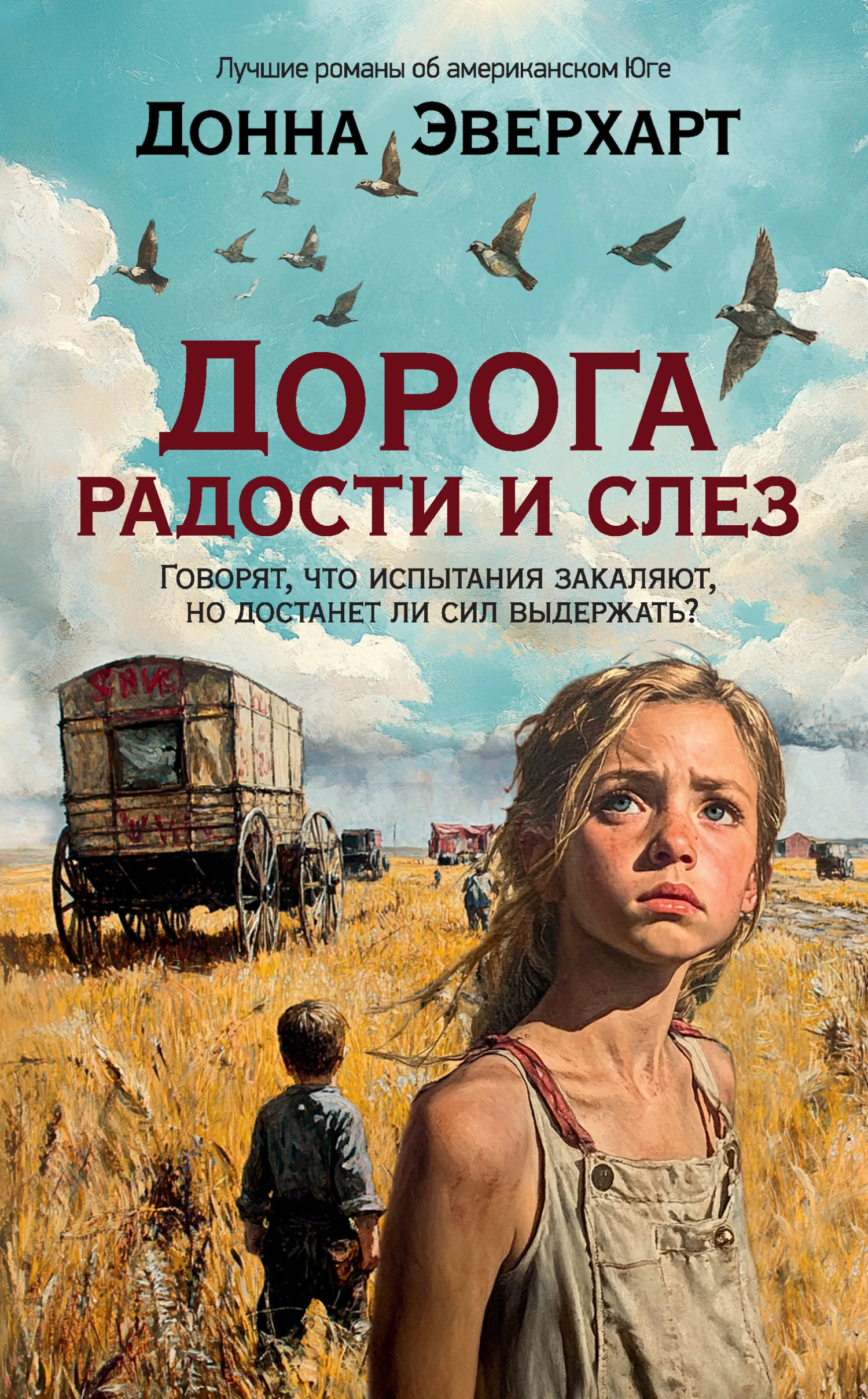 Книга Дорога радости и слез