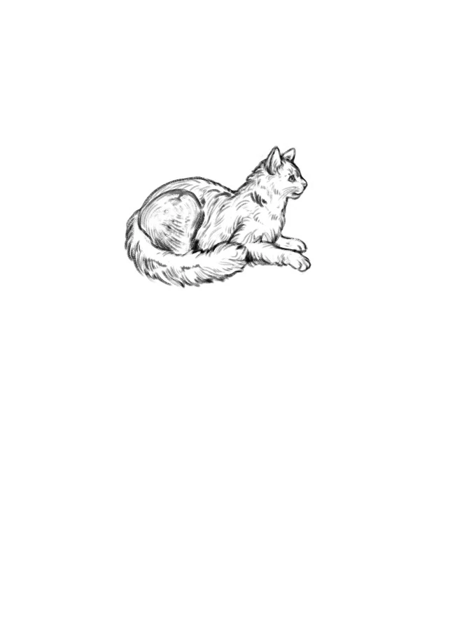 Иллюстрация к книге — Книжный клуб «Детективы по вторникам» [book-illustration-1.webp]
