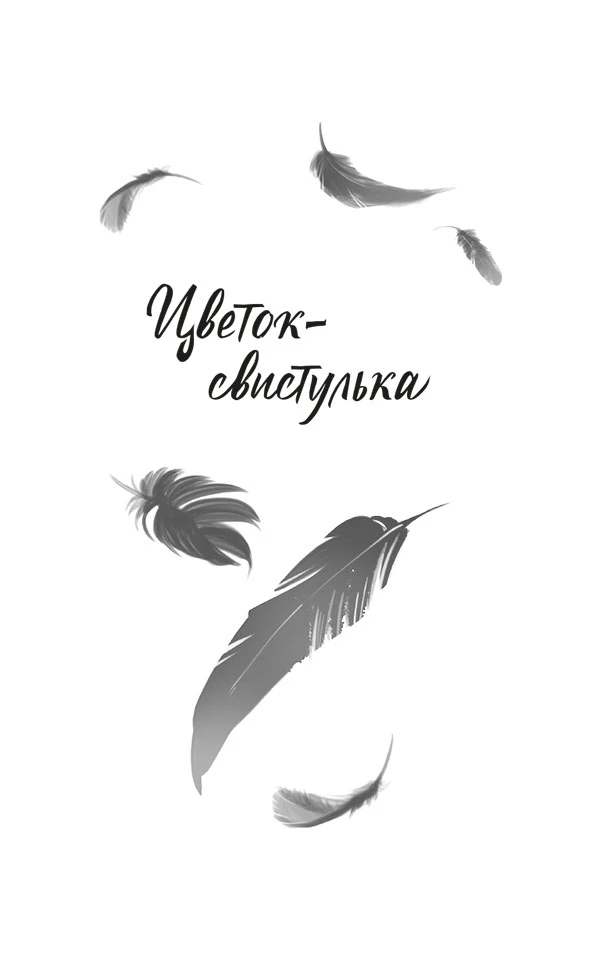 Иллюстрация к книге — Ворона в гареме. Книга 1 [book-illustration-5.webp]