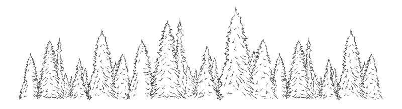 Иллюстрация к книге — Повесть о граффах [book-illustration-2.webp]