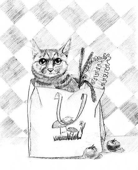 Иллюстрация к книге — Грёзы третьей планеты [book-illustration-8.webp]