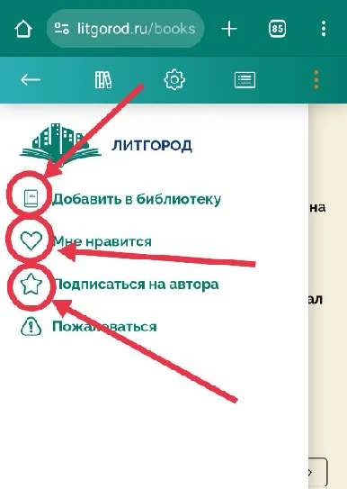 Иллюстрация к книге — Истинная жена дракона. Я (не) выйду замуж за врага! [book-illustration-8.webp]