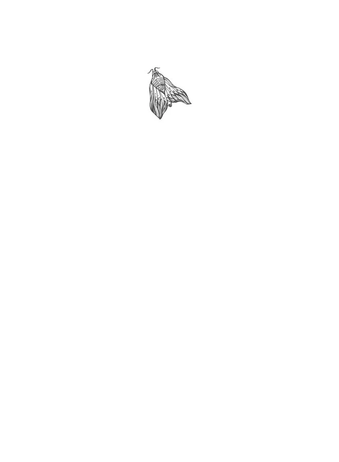 Иллюстрация к книге — Любовь всей моей смерти. Том 1 [book-illustration-22.webp]