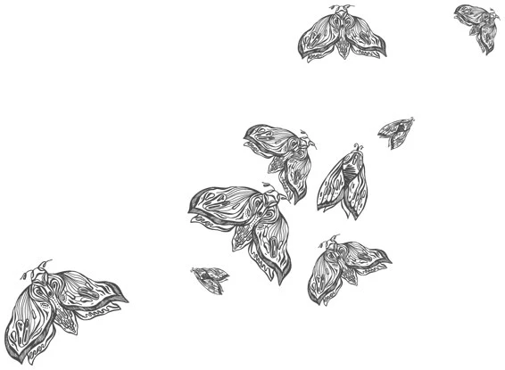 Иллюстрация к книге — Любовь всей моей смерти. Том 1 [book-illustration-26.webp]