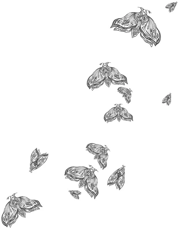 Иллюстрация к книге — Любовь всей моей смерти. Том 1 [book-illustration-28.webp]