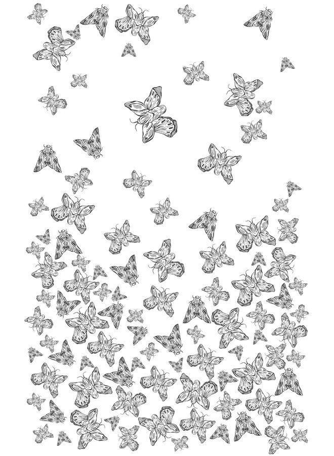 Иллюстрация к книге — Любовь всей моей смерти. Том 1 [book-illustration-5.webp]