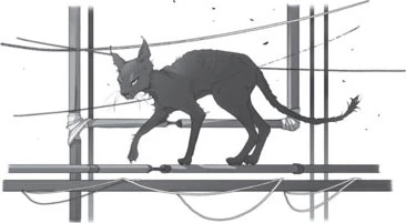 Иллюстрация к книге — Призраки мрачного ущелья [book-illustration-4.webp]