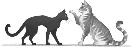 Иллюстрация к книге — Тайна кошачьего братства [book-illustration-4.webp]