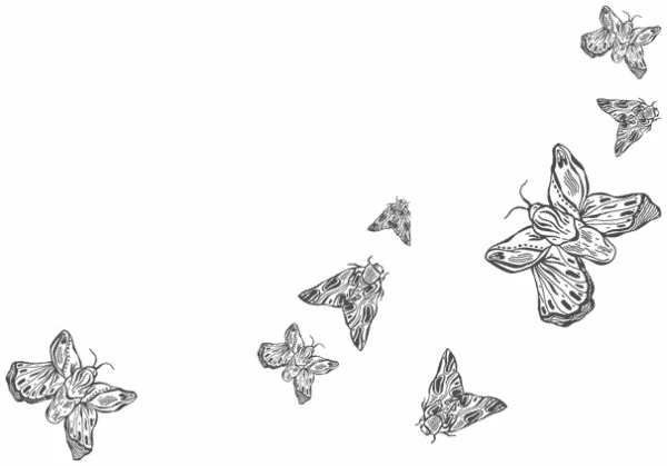 Иллюстрация к книге — Любовь всей моей смерти. Том 1 [book-illustration-16.webp]