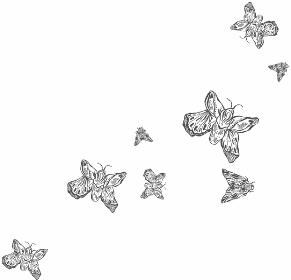 Иллюстрация к книге — Любовь всей моей смерти. Том 1 [book-illustration-18.webp]