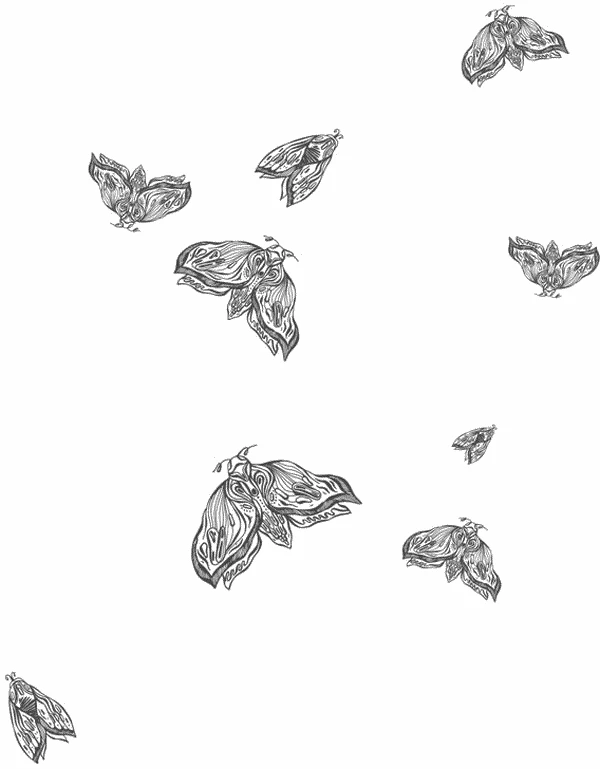 Иллюстрация к книге — Любовь всей моей смерти. Том 1 [book-illustration-25.webp]