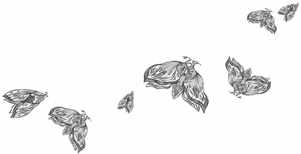 Иллюстрация к книге — Любовь всей моей смерти. Том 1 [book-illustration-28.webp]