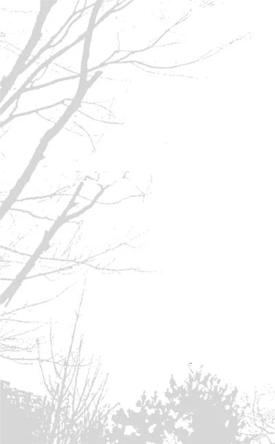 Иллюстрация к книге — Дом на Баумановской [book-illustration-1.webp]