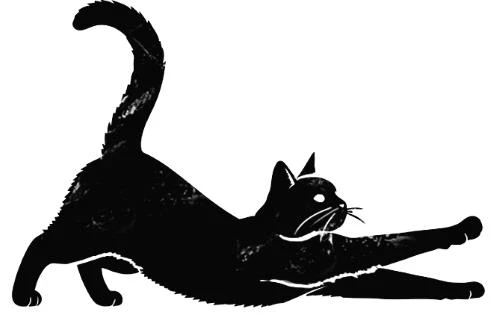 Иллюстрация к книге — Кот – агент ФБР [book-illustration-1.webp]