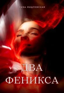 Книга Два Феникса