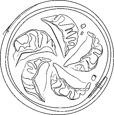 Иллюстрация к книге — Эстафета передается [book-illustration-1.webp]