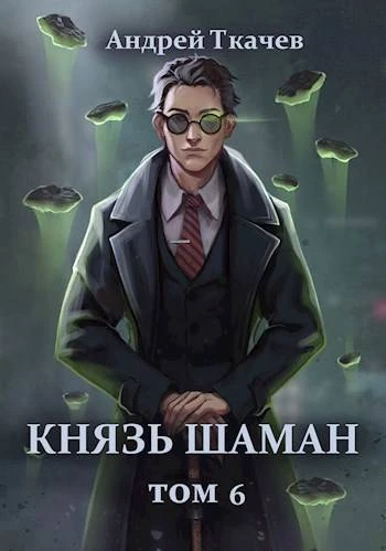 Книга Князь шаман. Том 6