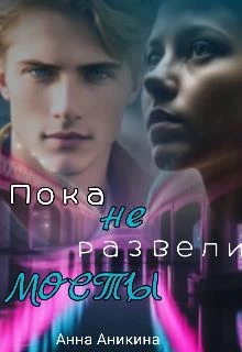 Книга Пока не развели мосты