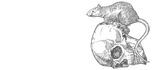 Иллюстрация к книге — Шепот в тишине. Мистические истории [book-illustration-16.webp]