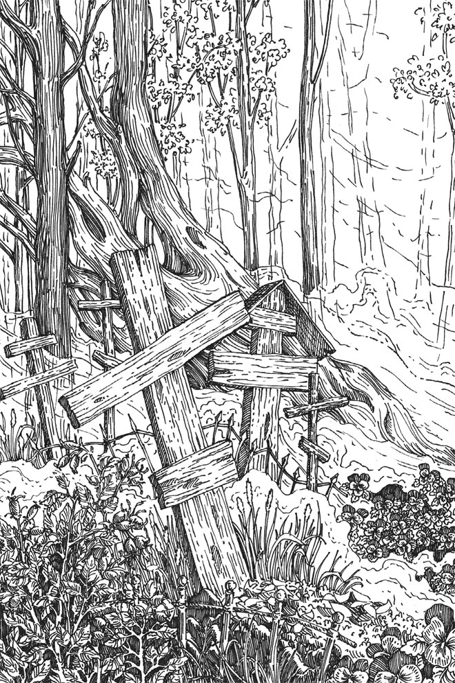 Иллюстрация к книге — Шепот в тишине. Мистические истории [book-illustration-5.webp]