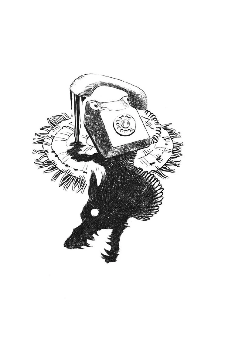 Иллюстрация к книге — Блошиный рынок [book-illustration-11.webp]