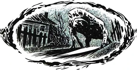 Иллюстрация к книге — Радио «Морок» [book-illustration-3.webp]