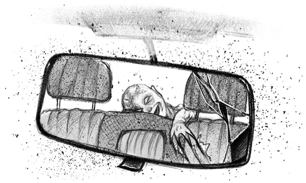 Иллюстрация к книге — Бессмертник [book-illustration-18.webp]