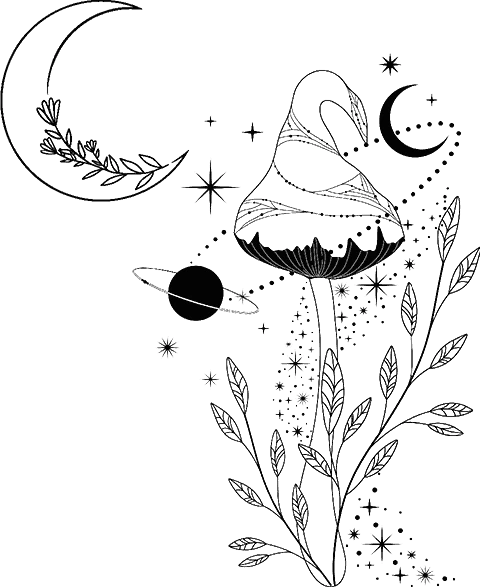 Иллюстрация к книге — Хозяйка болот [book-illustration-10.webp]
