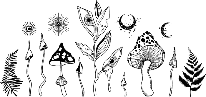 Иллюстрация к книге — Хозяйка болот [book-illustration-8.webp]