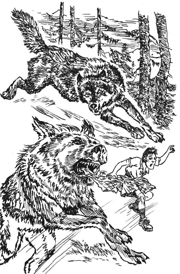 Иллюстрация к книге — Проказник [book-illustration-17.webp]