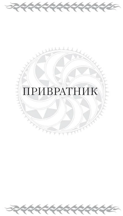 Иллюстрация к книге — Скитальцы [book-illustration-3.webp]